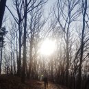 민들레 한약국 이미지