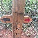 나본 데크(둘레길, 동호정민박) | 지리산둘레길10구간(위태마을-하동호)