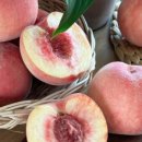 고향꽃화원 이미지