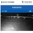 금곡교 이미지