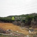 충남 서천군 마산면 군간리 / 밭 전, 가든용지 요양병원용지 경작지 주말농장용지 귀농지 농작물재배용지 농작물경작부지 / 1 이미지