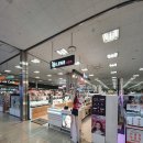 잇츠PC 대전점 | 대전오렌즈 ‡‡ 복합터미널 오렌즈 신상렌즈 원데이 스페니쉬 써클브라운/써클그레이 후기