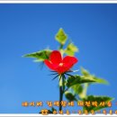 목양 약국 이미지