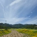 베네치아컨트리클럽 이미지