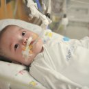 해나 카카오 검색결과