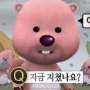 코코넛트레블 이미지