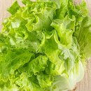 베이커리 오월의종 이미지