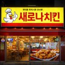 열린여행길 Daum카페