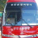 선진관광여행사 이미지