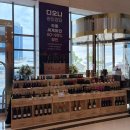 오동도로 | 여수 숙소 추천 오동도로 유탑마리나호텔&amp;리조트 내돈내산 후기