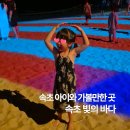 빛의 정원 - 20 | 속초 아이와 가볼만한곳 속초해수욕장 빛의 바다 운영시간 주차 후기