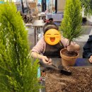 마켓플레리 | 군산원데이클래스 예쁜 테라리움을 만들수 있는 어반가든스튜디오