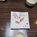 덴포라 이미지