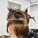 자연각 | 1Lv S 커트