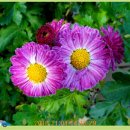 간촌어린이공원 이미지