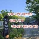 곰배령 쥐와 돼지 이미지