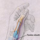 하한의원 이미지