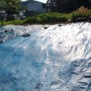 대곡동지석묘군 이미지