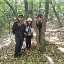 내곡동410 이미지