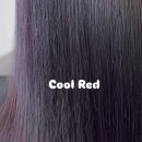 레드쿨헤어 | 쿨톤도 잘 어울리는 레드? 파주 쿨레드 염색
