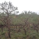 신천리영농조합법인 이미지