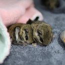 자연에 품 이미지