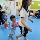 강무관 대호무술체육관 이미지