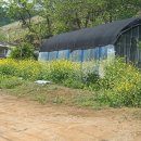 송라낚시터 | 화성 매송 송라저수지 둘레길 산책 후기 / 화성 안산근교 수원근교 송라낚시터