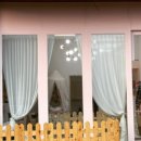 티나네강아지미용실 이미지