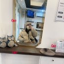 초밥앤탕 | 판교맛집 초밥앤탕 평일점심후기 진짜 한번만 봐보세요^^