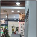 털보원조해물전골 | ♣ < 413호 > 돼지국밥이 맛있는집 30년 전통 #원조옛날국밥 울산삼산본점 항정살국밥과 수제떡갈비...