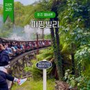레이크사이드대중 | 멜버른 여행코스 퍼핑빌리 증기기관차 투어 후기