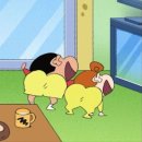 시루스시