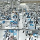 황금세탁 이미지