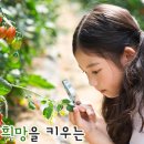 조례초등학교 병설유치원 이미지