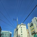 네일바이지나 이미지
