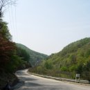 우산천길 Daum카페