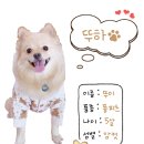 블럭팡팡 구미점 이미지