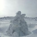 아무르의 산 (7) 겨울산 한라산(윗세오름) 눈산행 이미지