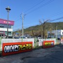 국가대표1등타이어 경주 용강동 친절한 타이어 전문점