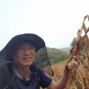 김명복농장 이미지