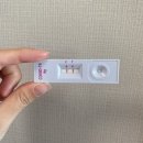 원호우리약국 | 동거인 코로나 비대면 진료, 약처방 후기 (+ 잠복기, 증상, 구미 비대면진료병원)