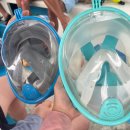 수경빨래방 | 발리에서 생긴일 - 9. 길리섬 자전거 대여, 그룹스노쿨링 후기