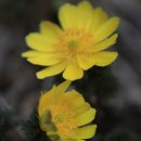 황전(순천) 이미지