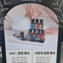 도테라아로마라운지 이미지