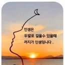 무명초