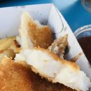 씨월드 피시 이미지