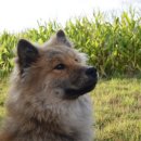 언주로7길 이미지