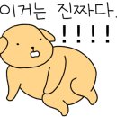 이뉴펜션3 이미지