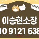 부동산CITY 공인중개사사무소 이미지